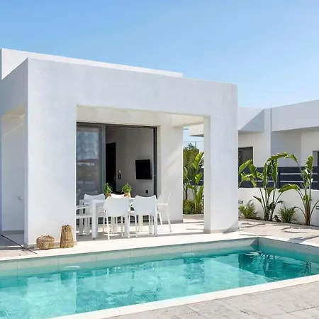Palm Vista By *