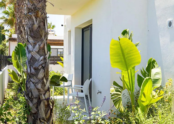 Palm Vista By